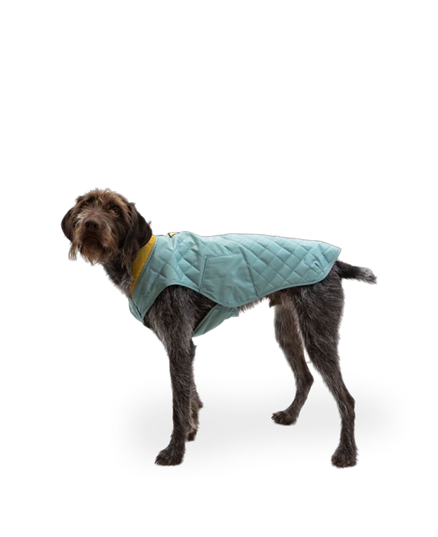 Stumptown Jacket - River Rock Green