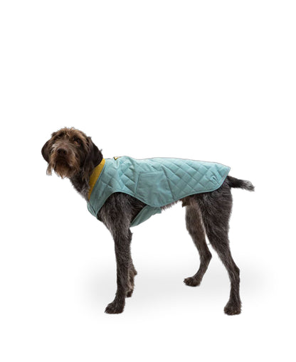 Stumptown Jacket - River Rock Green