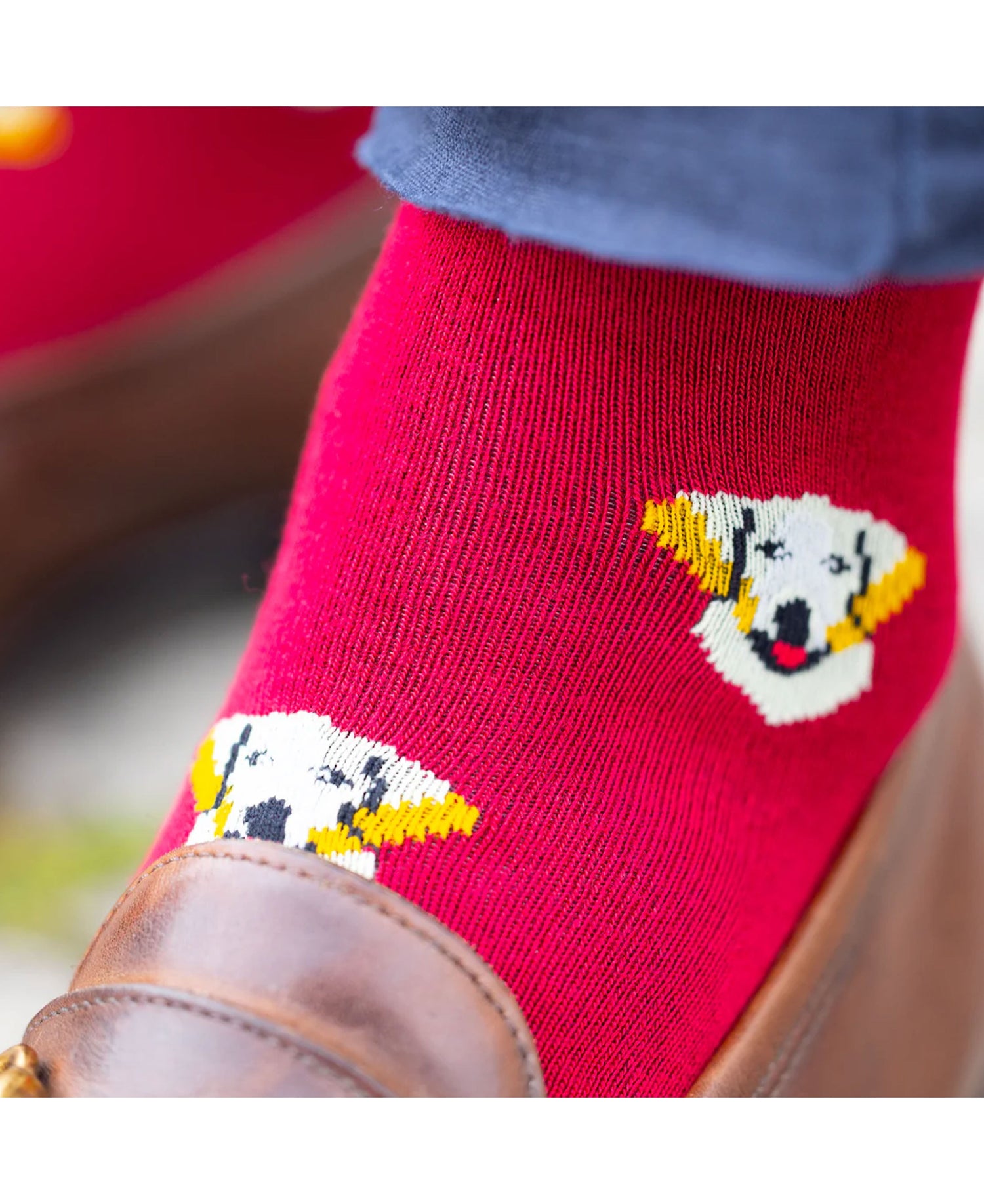 Bamboo Socks - Retrievers