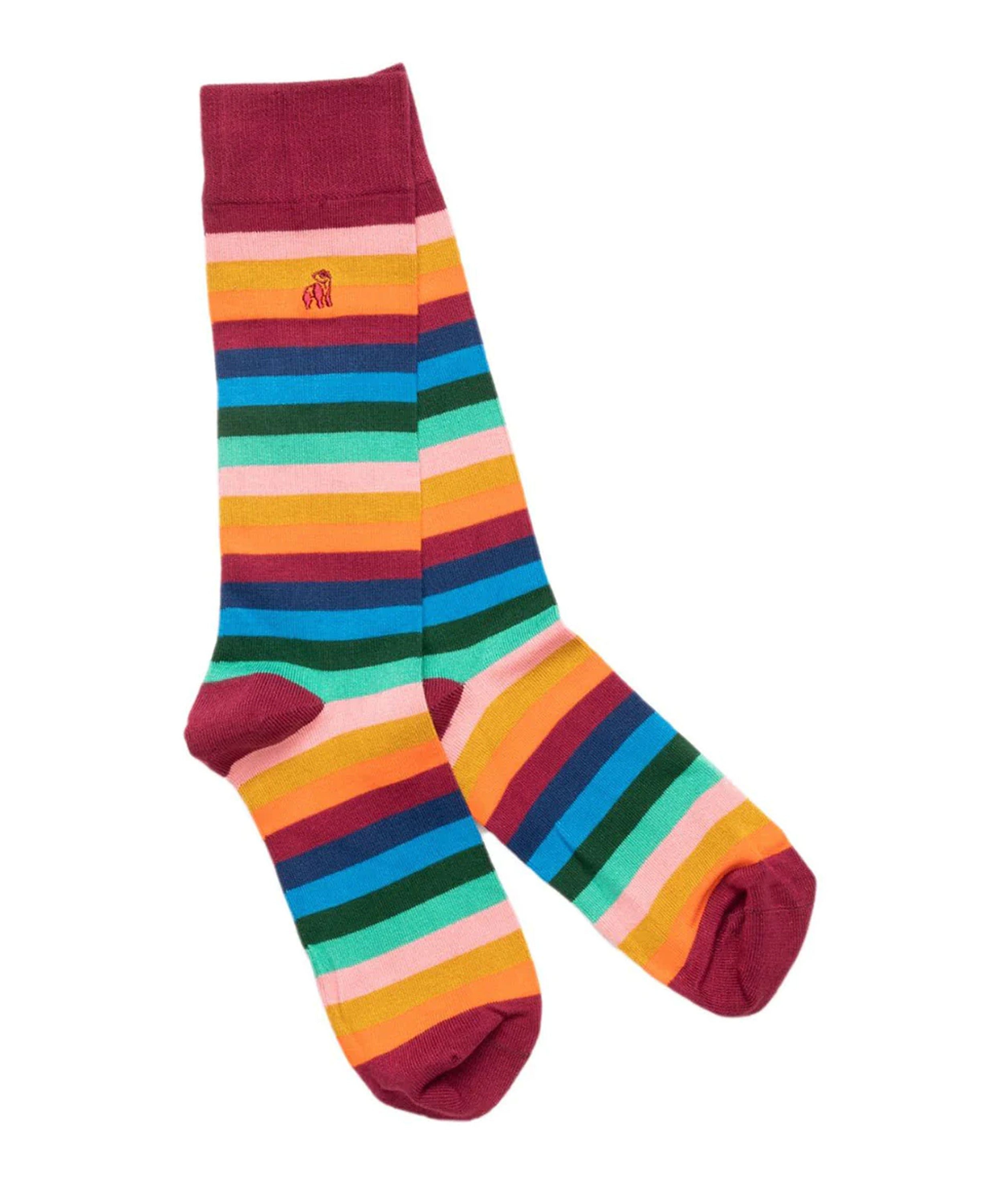 Striped Socks - Multi Coloured Fine Stripe