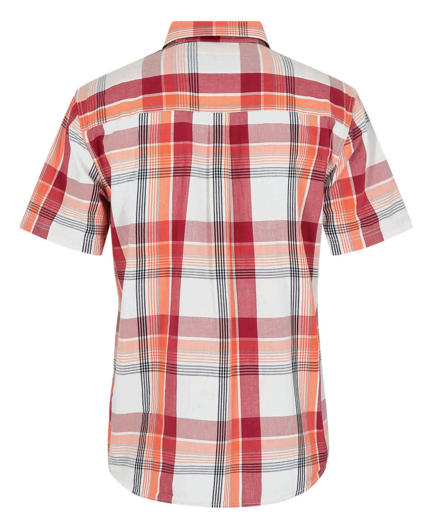 Judd Short Sleeve Check Shirt - Chilli Red
