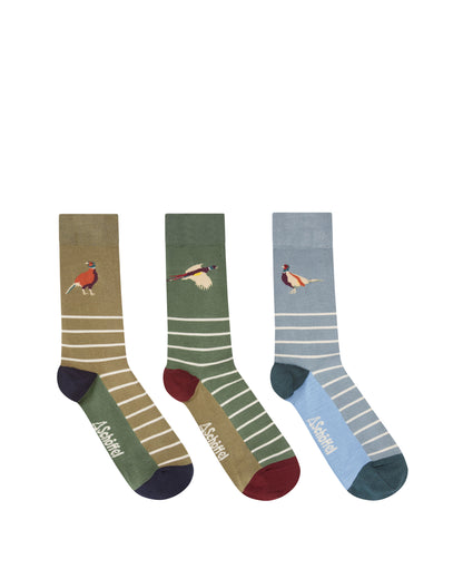 Bamboo Sock (Box Of 3) - Lake Blue Pheasant Mix