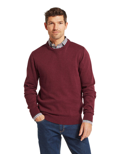 Calton Cotton Cashmere Crew Jumper - Burgundy
