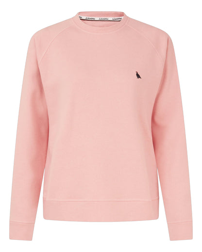 Newberry Sweatshirt - Pale Rosé