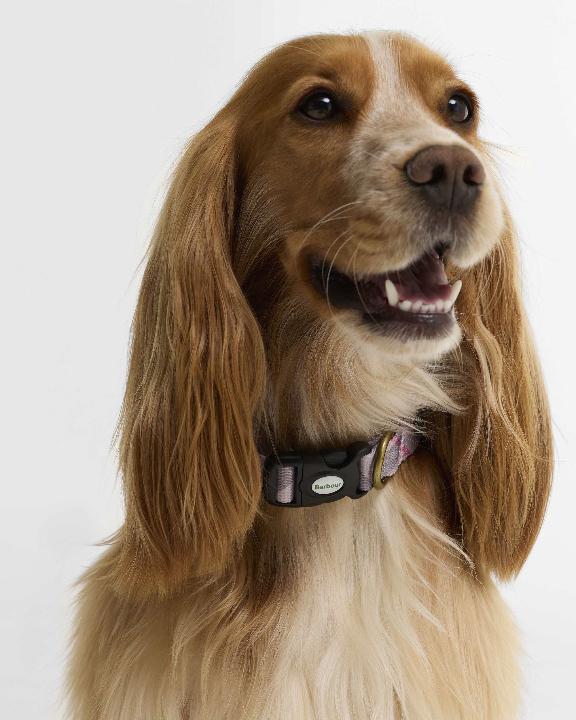 Tartan Printed Dog Collar - Pink Tartan