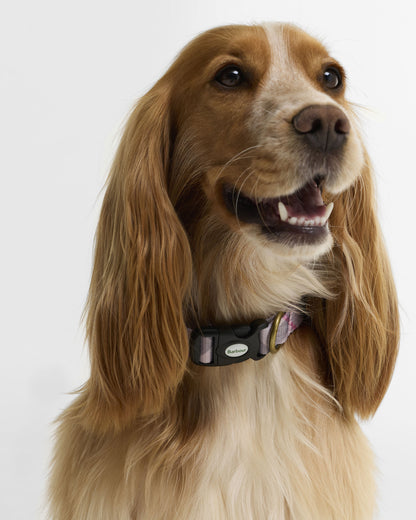 Tartan Printed Dog Collar - Pink Tartan