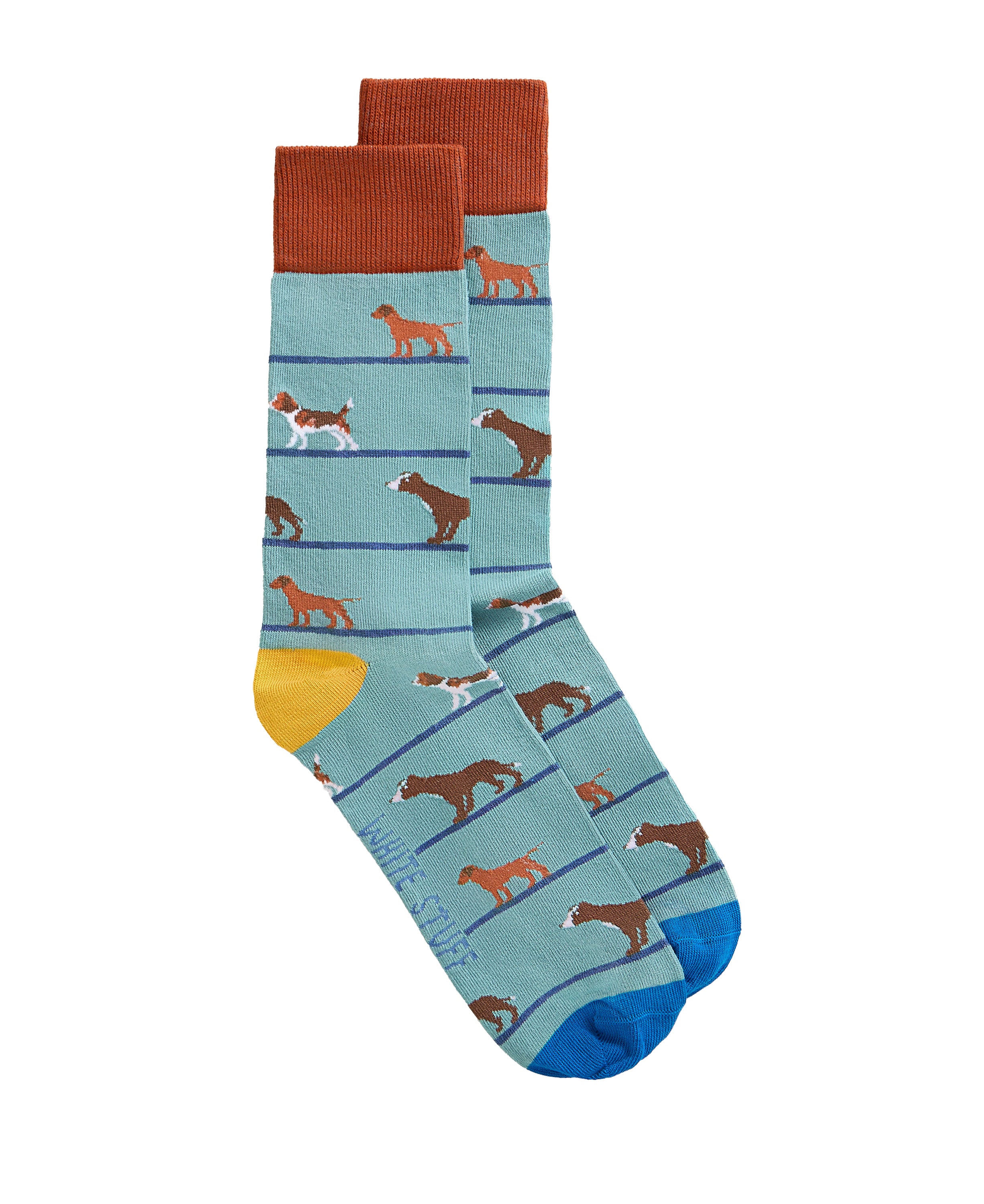 Novelty Ankle Sock - Mid Blue