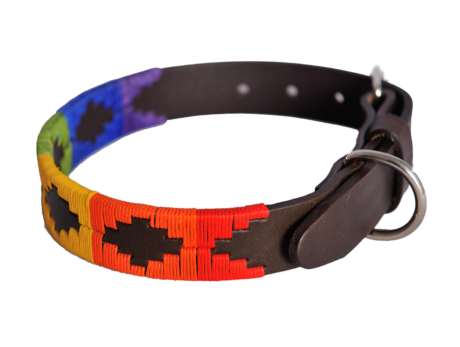 Polo Belt Style Dog Collar - Rainbow