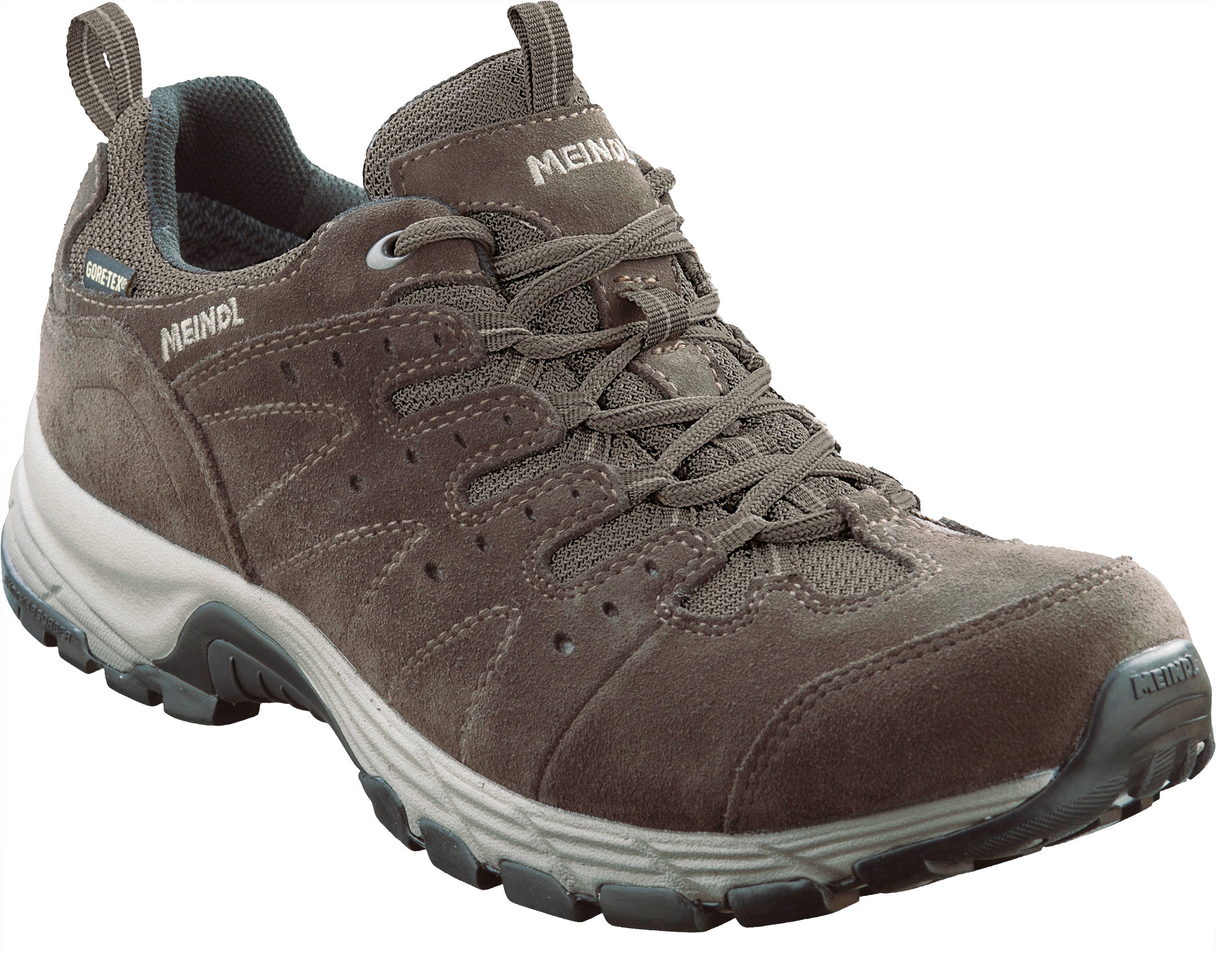 Rapide GTX - Brown