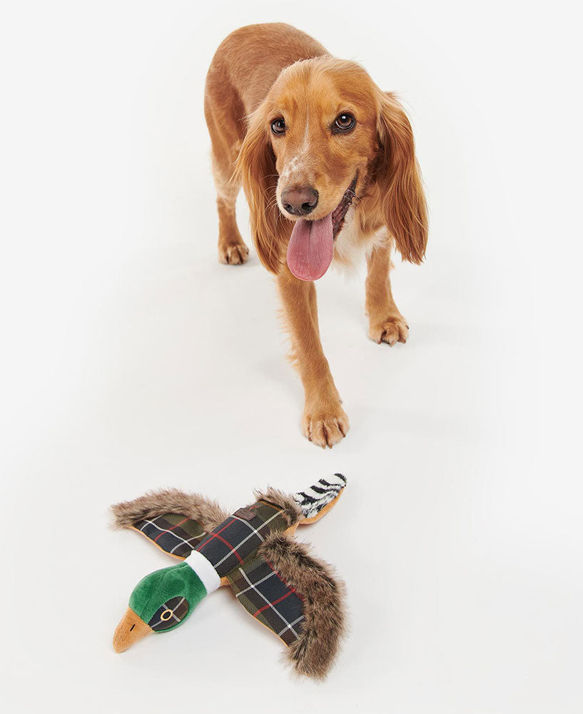 Pheasant Dog Toy