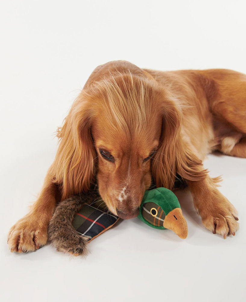 Pheasant Dog Toy