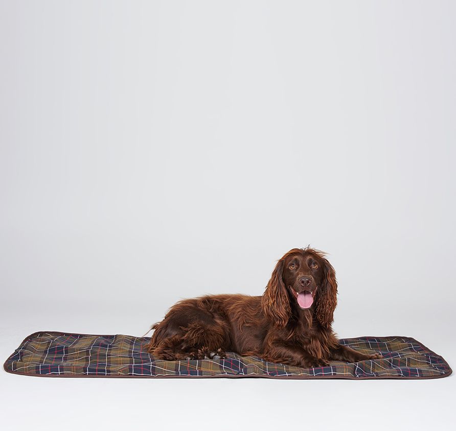Medium Dog Blanket - Classic Brown
