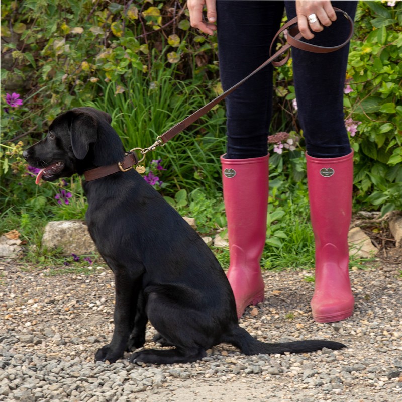 Dog Lead - Marron Fonce