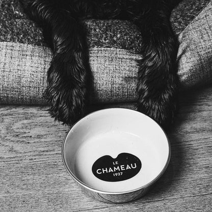 Stainless Steel Dog Bowl - Gris Ardoise