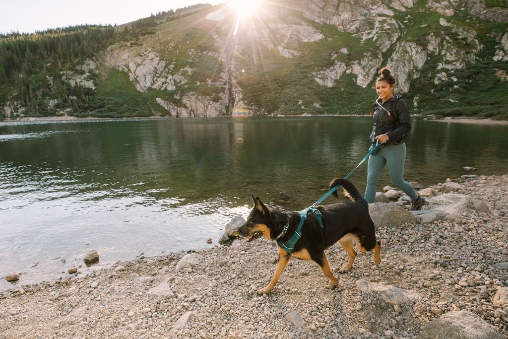 Landmark Ruffwear Front Range Harness in Tumalo Teal