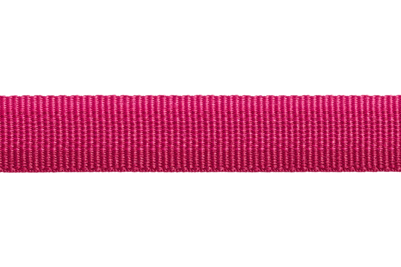 Front Range Leash - Hibiscus Pink